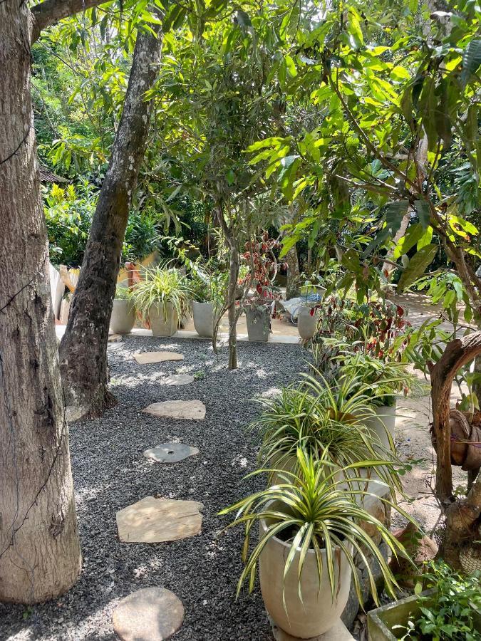 Jungle Escape Hiriketiya Hotel ดิคเวลลา ภายนอก รูปภาพ